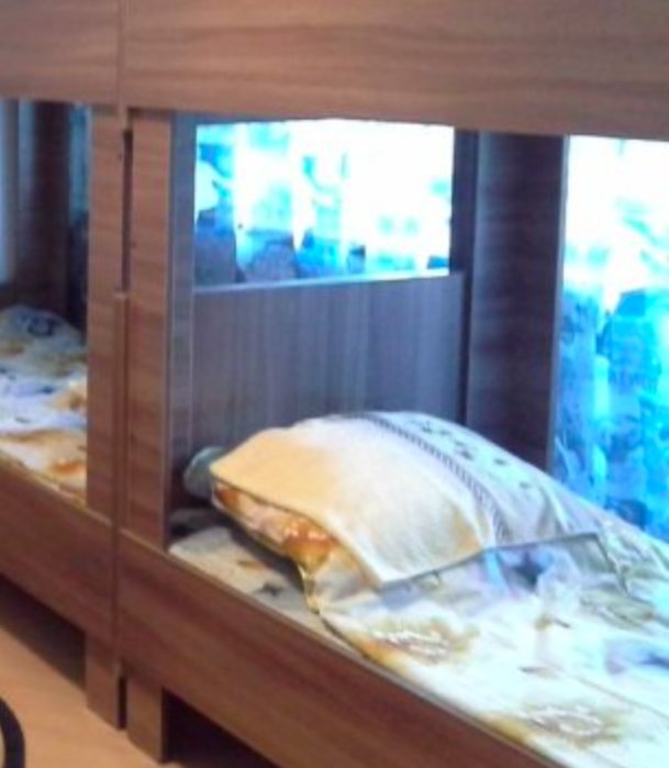 Алматы: Hostel Arbat