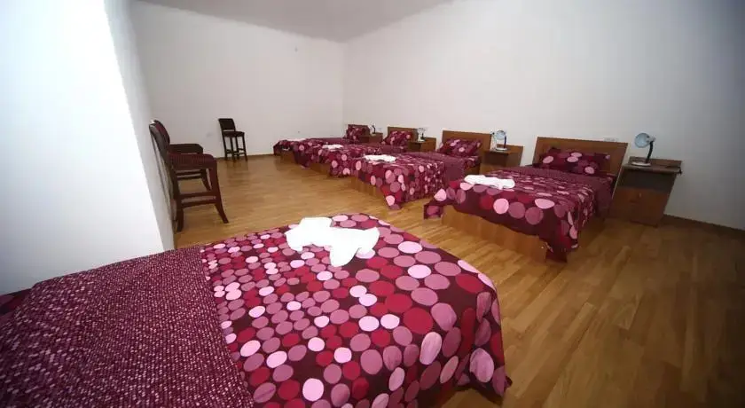 Кутаиси: Hostel Lion