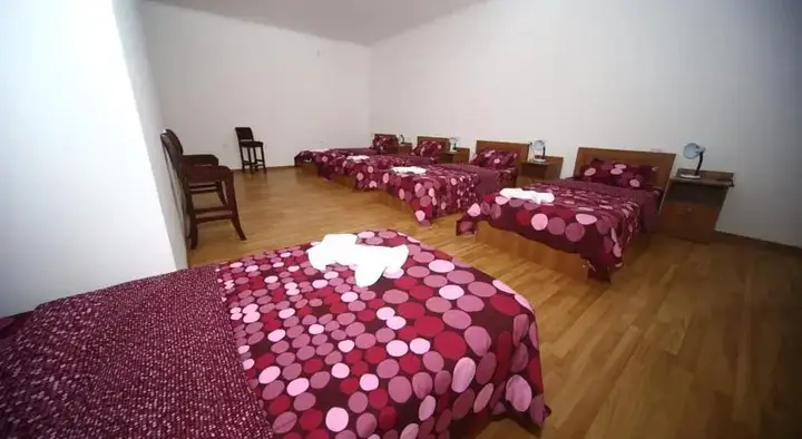 Кутаиси: Hostel Lion