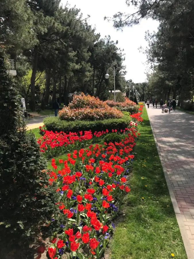 Геленджик: Guest House Anamero