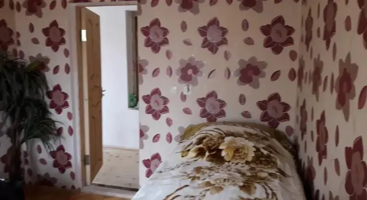 Местиа: Guesthouse Jemali
