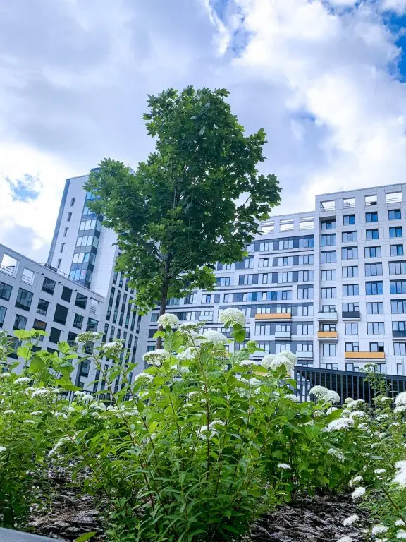Москва: Хедлайнер Комфорт Апарт