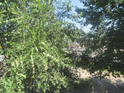 Алматы: Appartment na Suyunbaya 16