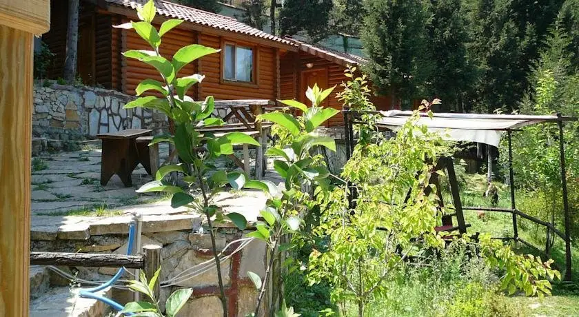 Сайл: Forest Lodge