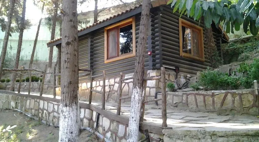 Сайл: Forest Lodge
