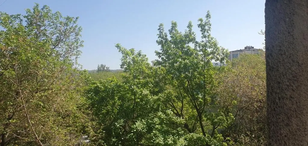 Алматы: Апартаменты в центре города ! Парк Горького