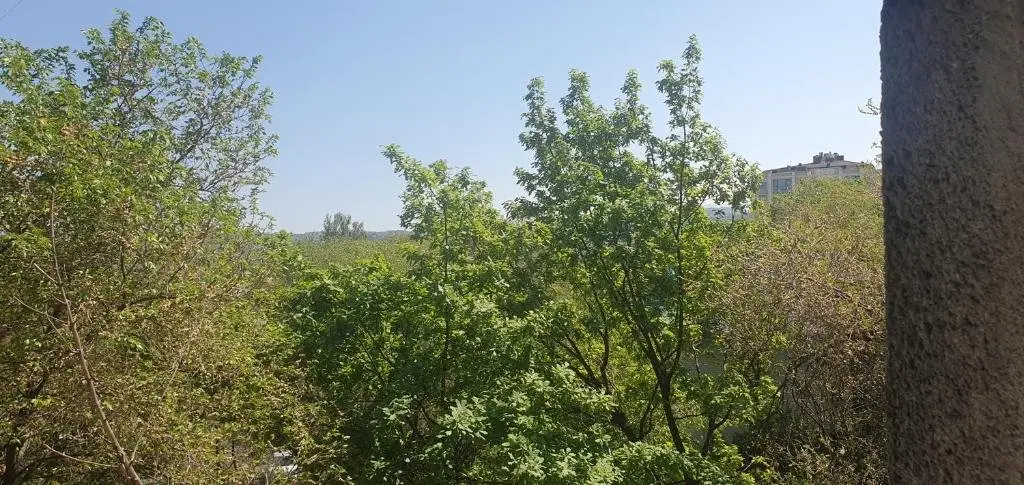 Алматы: Апартаменты в центре города ! Парк Горького