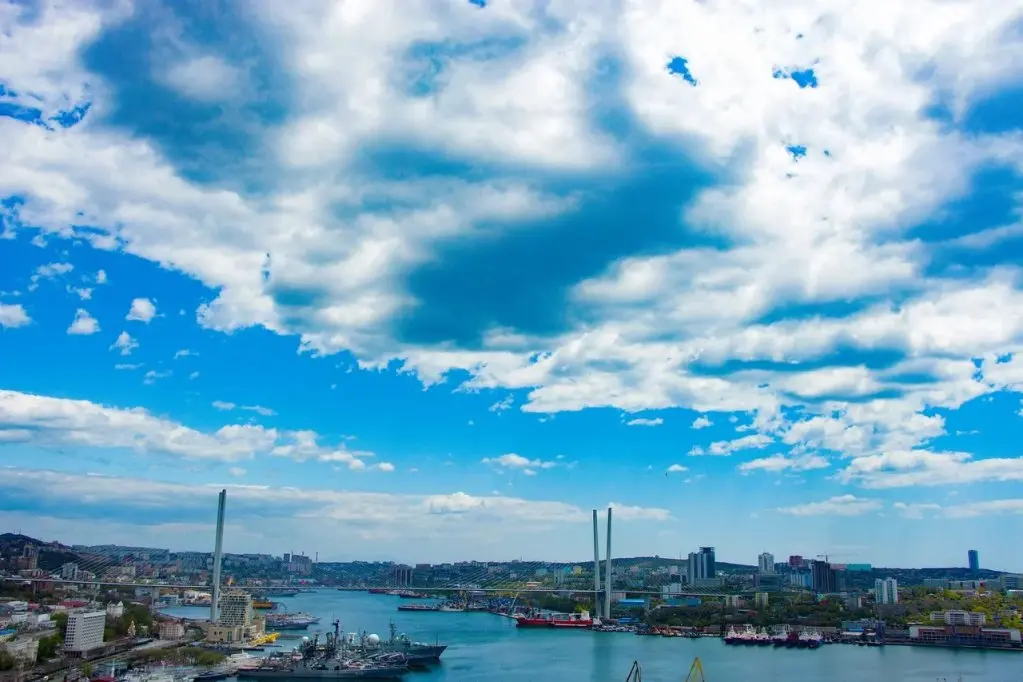 Владивосток: Апартаменты Central Place Vladivostok Премиум с видом на Мосты и Залив (4)