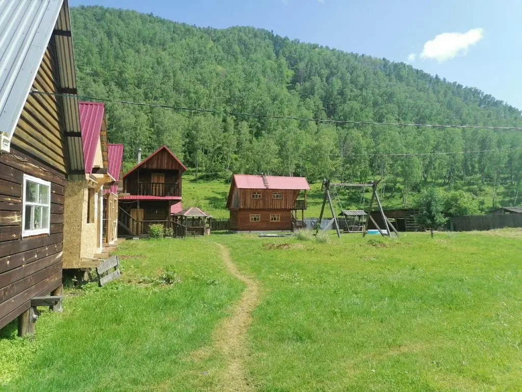 Cherga: Золотая пчела