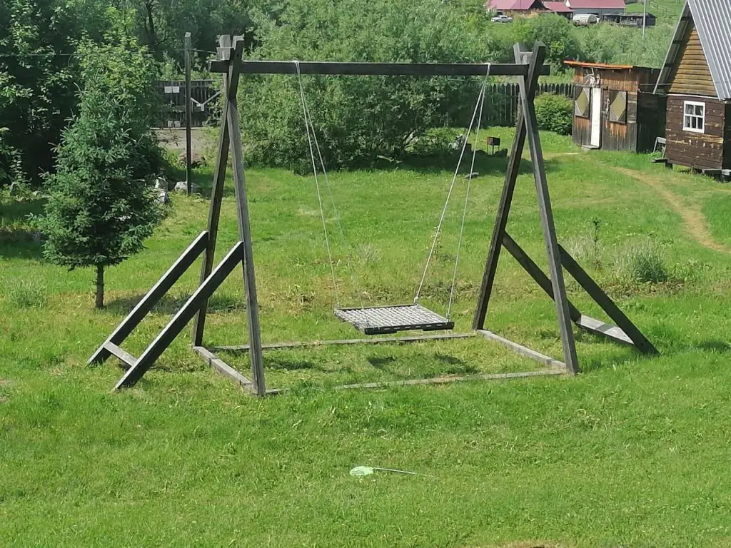 Золотая пчела — фото 1