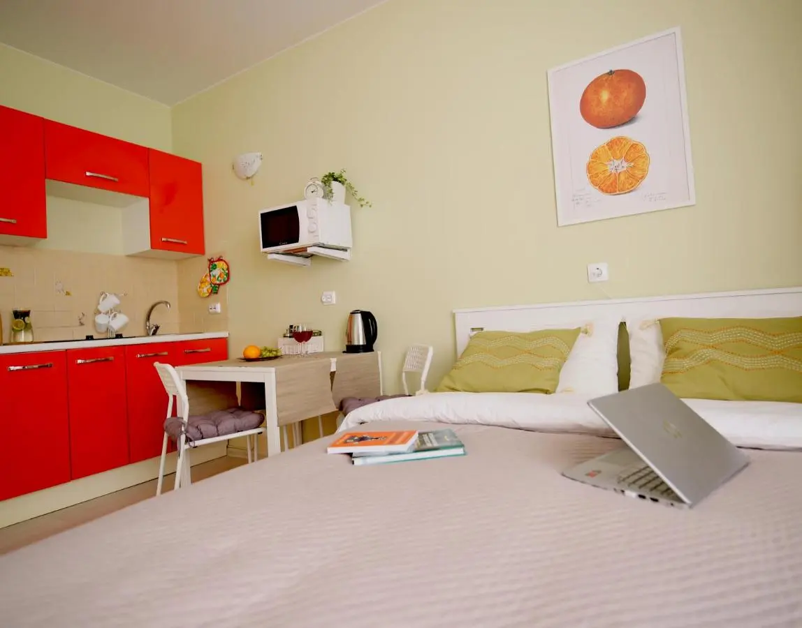 Мурино: Panoramic Orange Studio