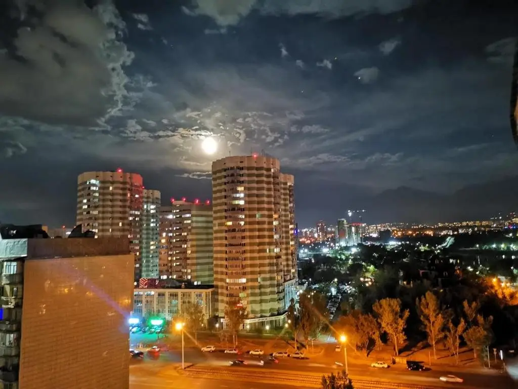 Квартира с шикарным видом с 12 этажа возле озеро Сайран — фото 1