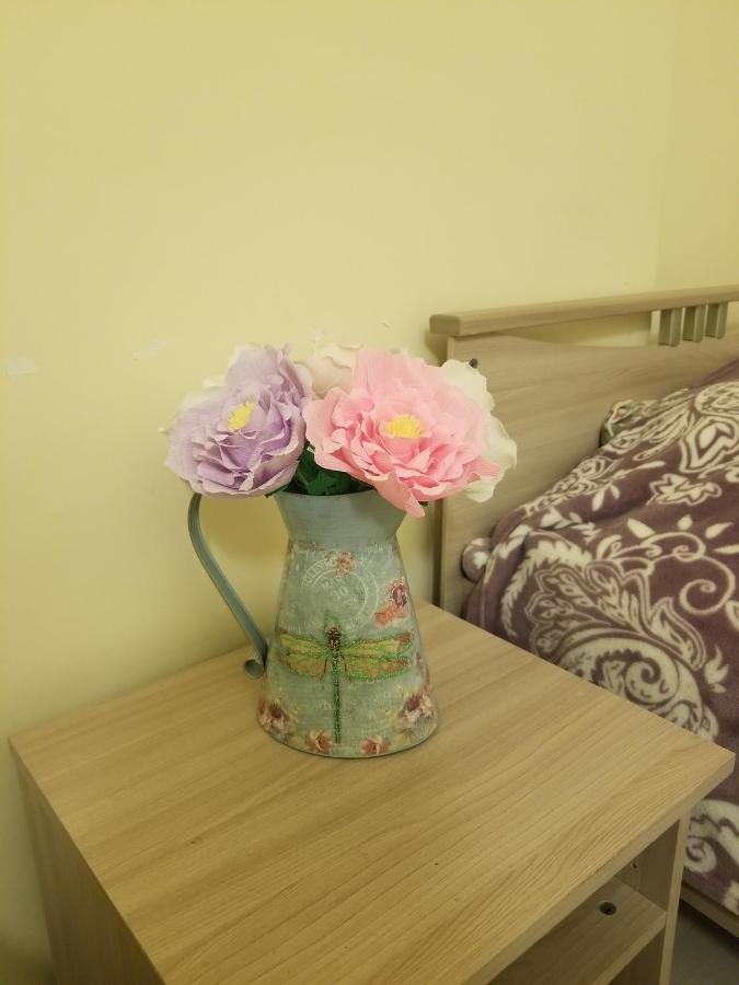 Санкт-Петербург: Apartments on Grecheskiy 11
