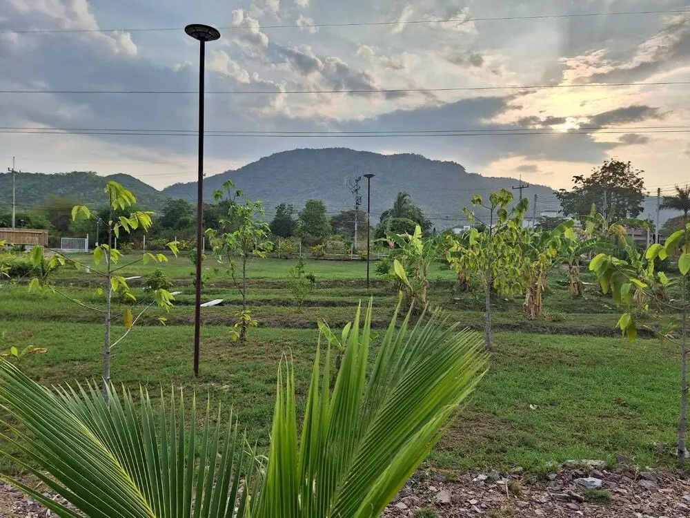 Чаам: Koon & Nueang Farm Stay Hua Hin