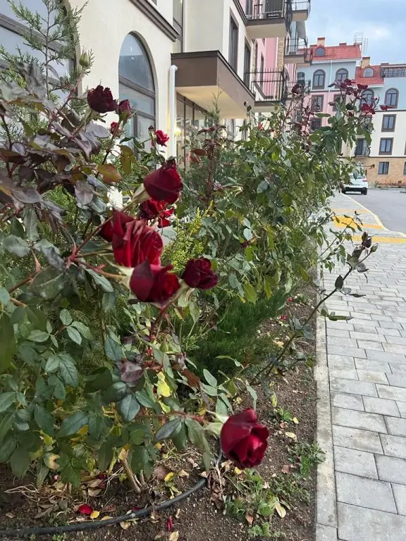 Евпатория: Квартира ЖК Евпатория квартира175