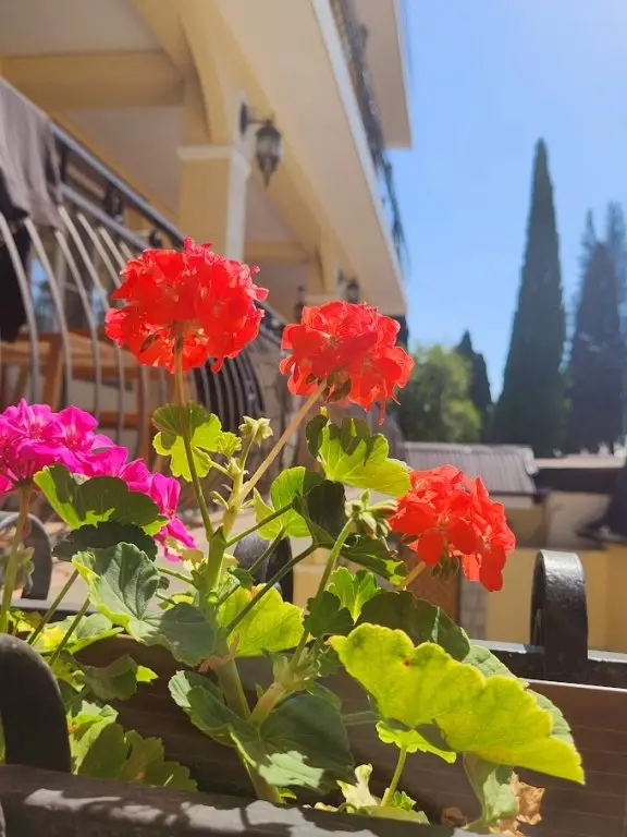 Новый Афон: Отель Casa del sol