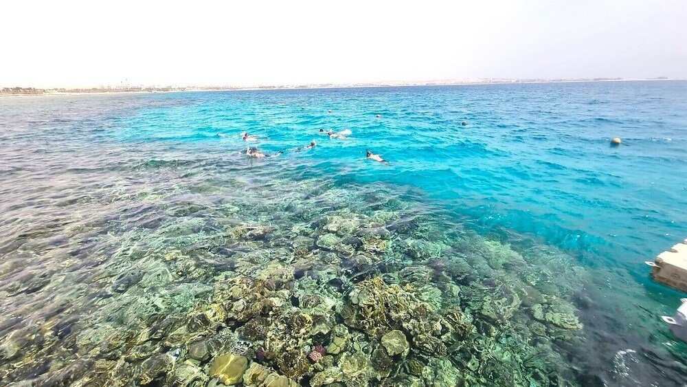 Хургада: Sea View Studio in Luxury 5 Star Hotel Hurghada
