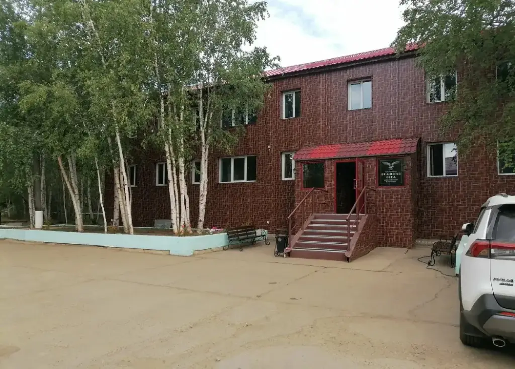 Полярная сова — фото 1