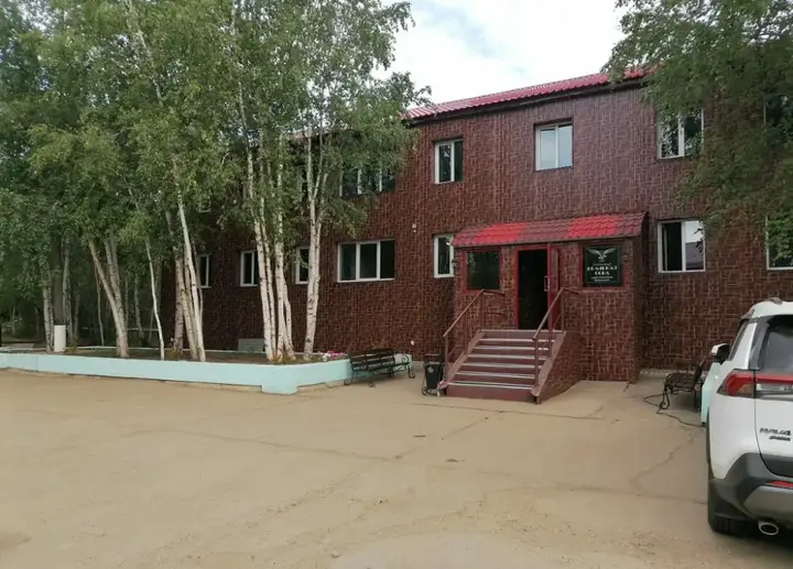 Мирный: Полярная сова