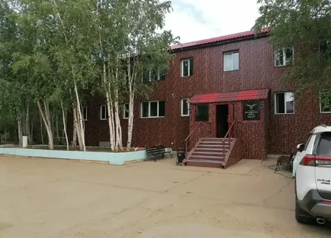 Полярная сова — фото 1