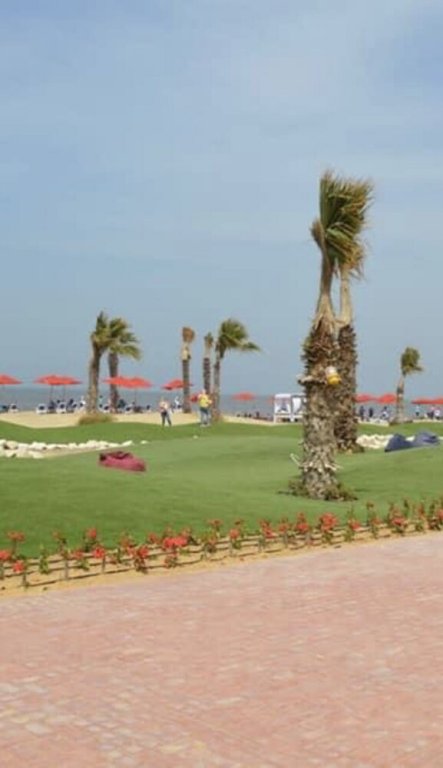 Порт-Саид: Seaside Serenity Relax & Recharge