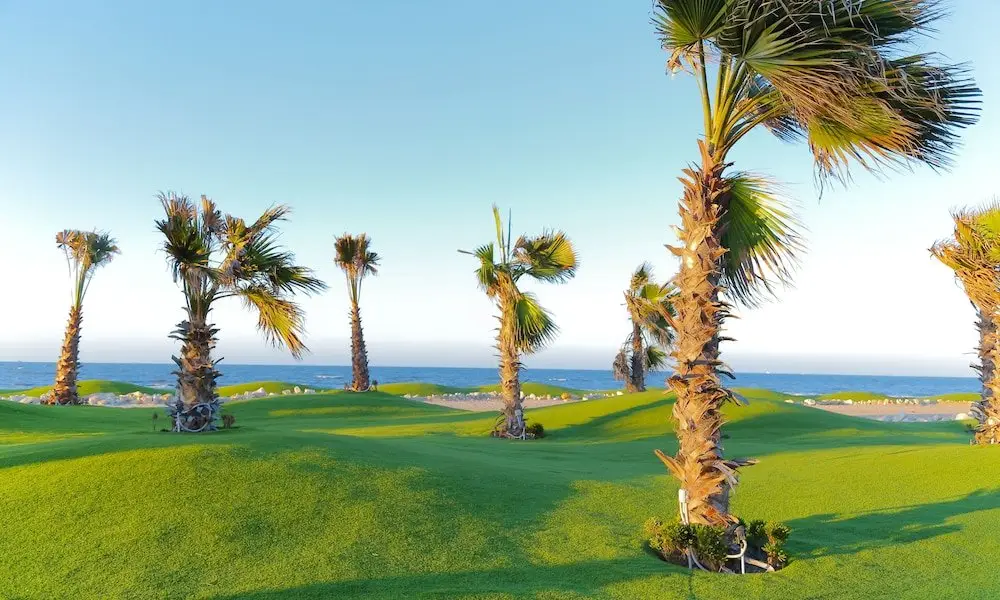 Порт-Саид: Seaside Serenity Relax & Recharge