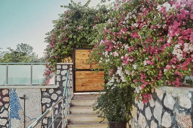 Ешилькёй: Villa Nordic Dream Butik Otel