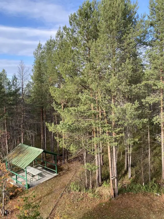 Мурманск: База отдыха Murmansk Discovery