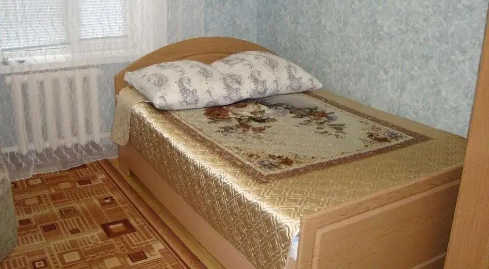 Суздаль: Гостевой дом Морозовых