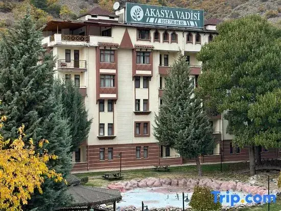 Анкара: Akasya Termal
