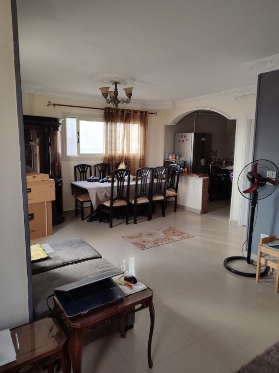 Александрия: Female only A Room in 3 rooms CITYCENTRE