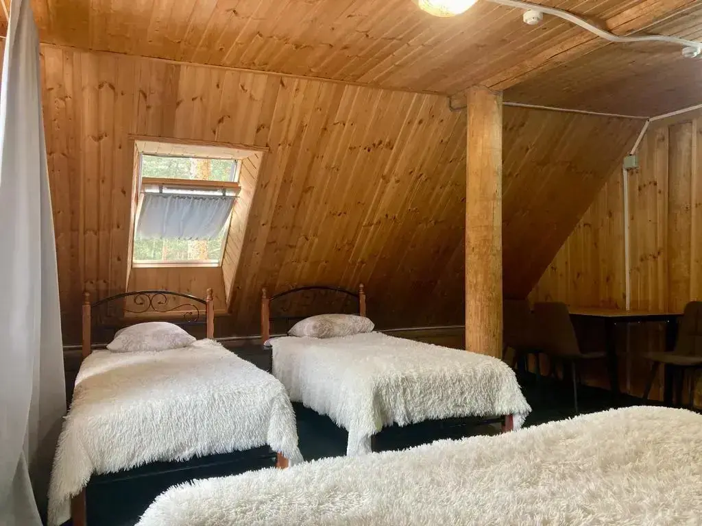 Терскол: Ushba Guest House