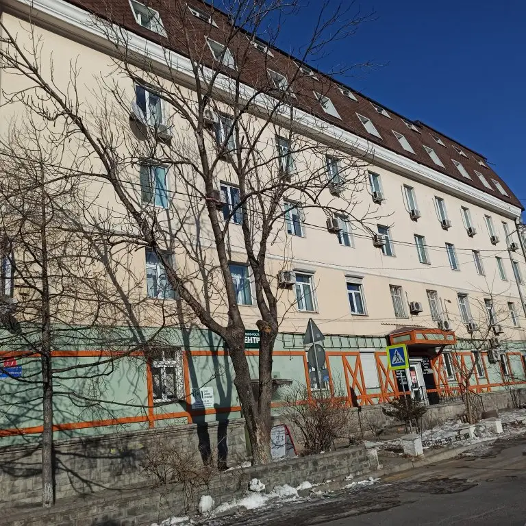 Владивосток: Квартира на Фонтанной 17/517
