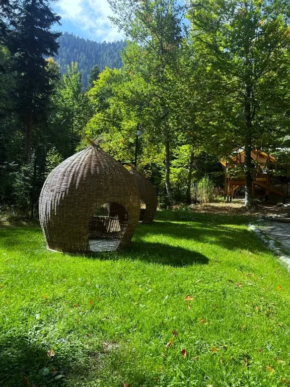 Архыз: Отель Гoры Village