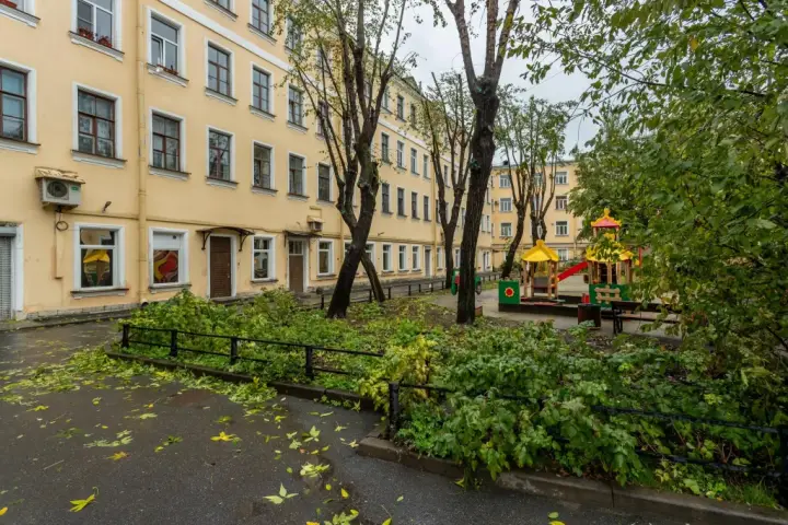Санкт-Петербург: Жилые помещения на Бакунина 29
