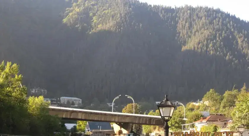 Боржоми: Country House Borjomi
