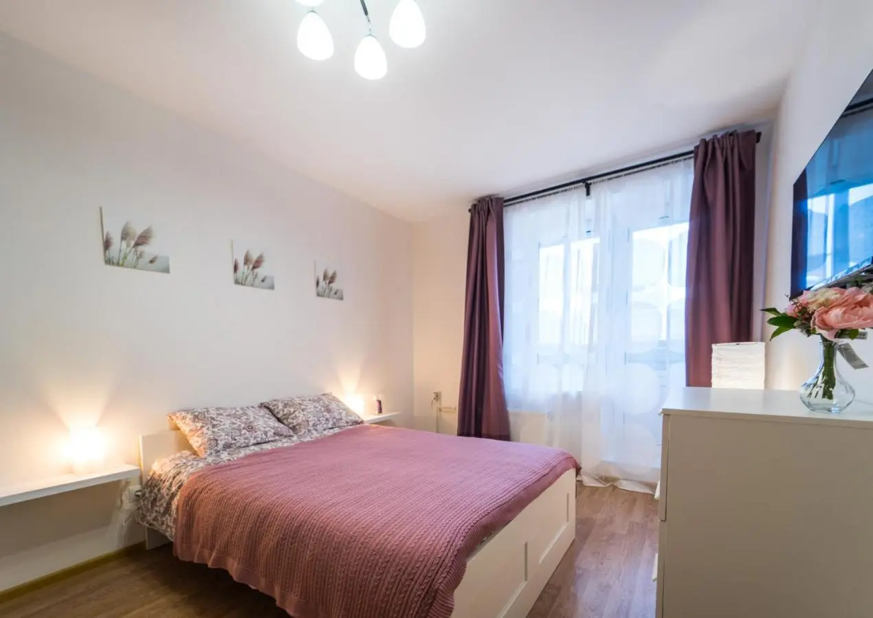 Дибуны: Евродвушка в Песочном. 500 м. до Онкоцентра