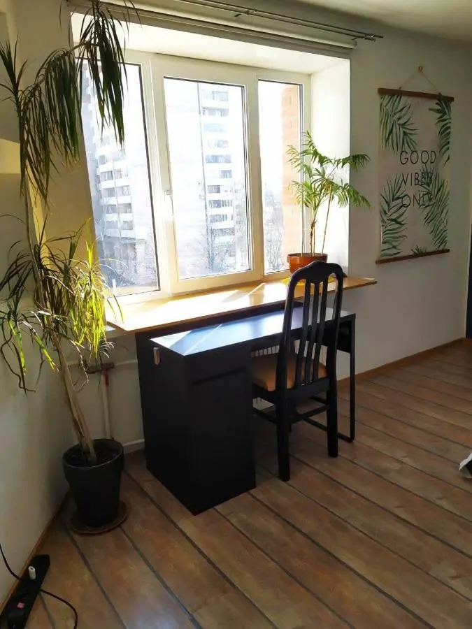 Санкт-Петербург: Laguna loft cтудия с качелями