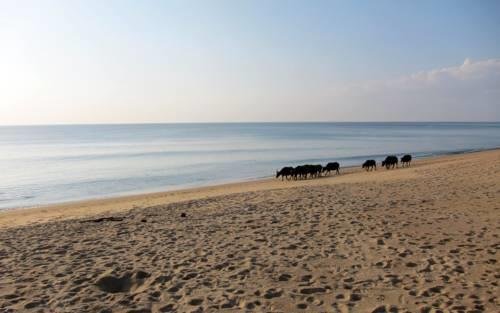 Тхаланг: Mai Khao Beach House