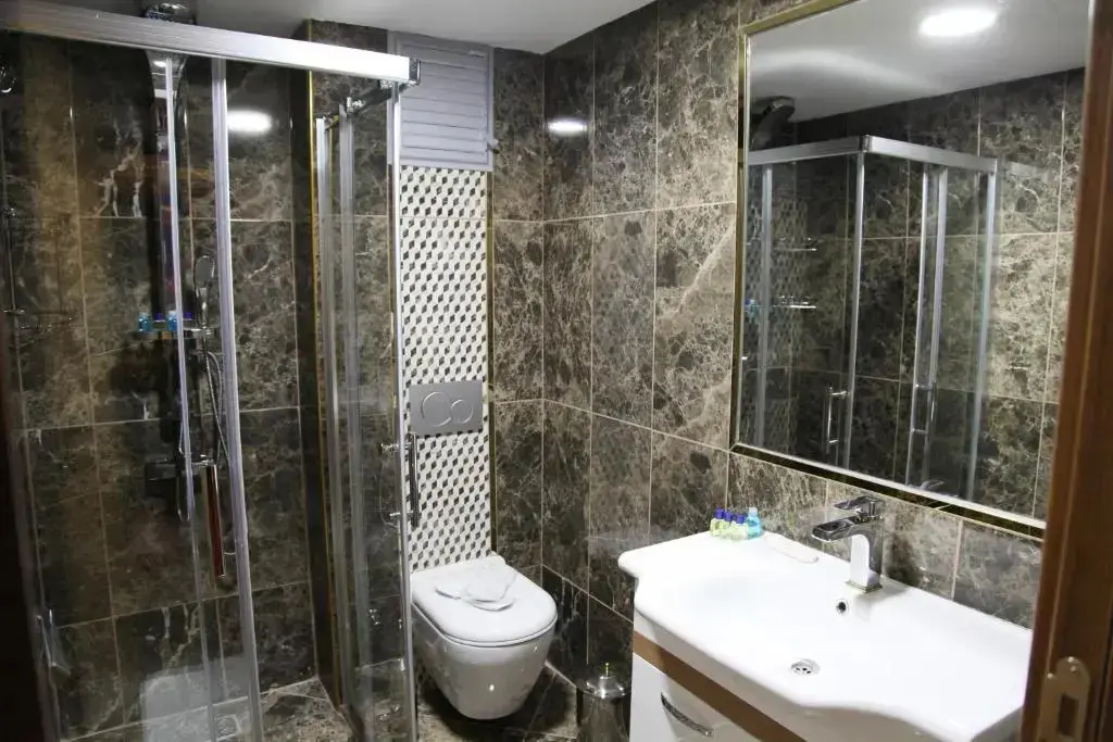 Стамбул: Safir Hotel