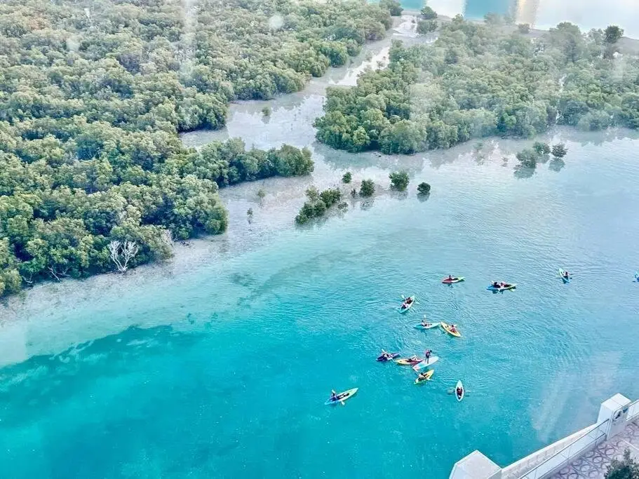Абу-Даби: Cozy Upgraded Residential Flat with sea, Mangrove, pool view - Not Hotel - 1203