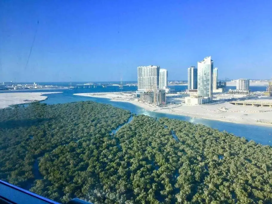 Абу-Даби: Cozy Upgraded Residential Flat with sea, Mangrove, pool view - Not Hotel - 1203
