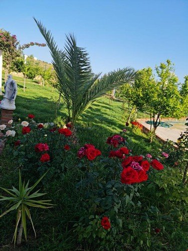 Окурджалар: Alanya Incekum Ultra Lux Villa