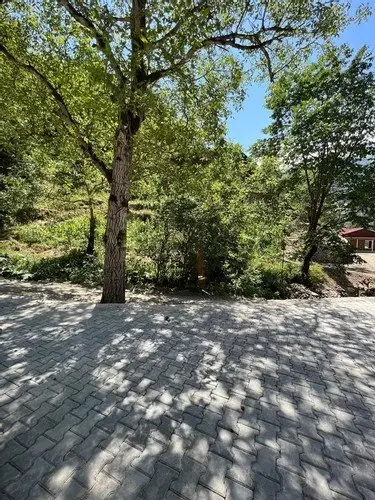 Узунгёль: Vega Villasuites Uzungol