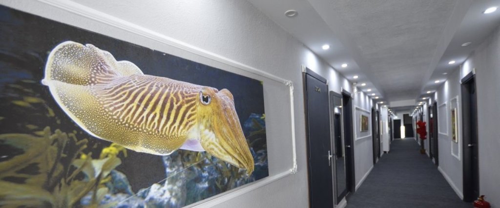Мармара: Grand Avsa Beach Hotel