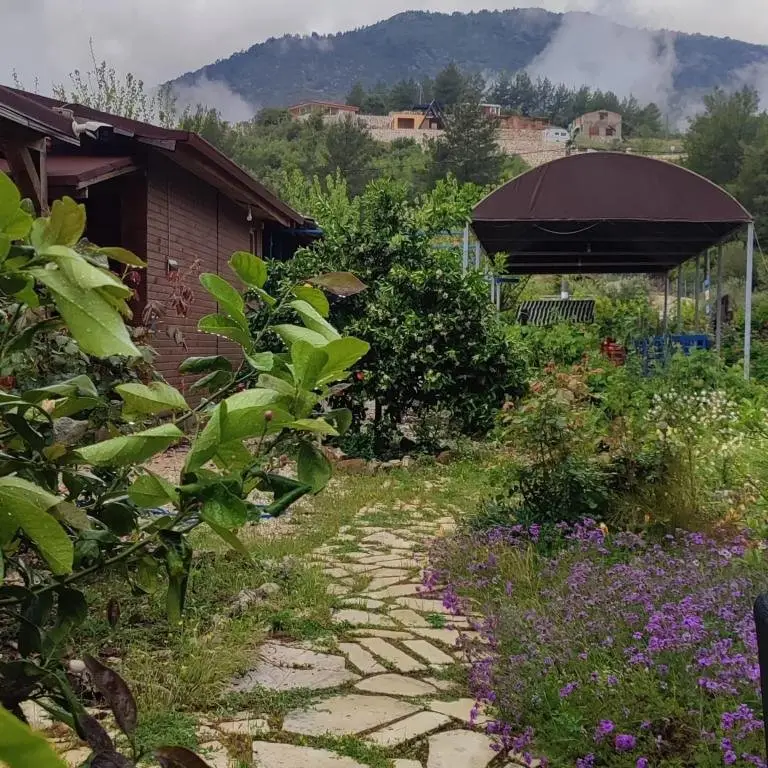 Кумлуджа: Cafe Yolda Bungalov