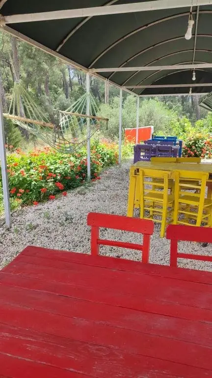 Кумлуджа: Cafe Yolda Bungalov