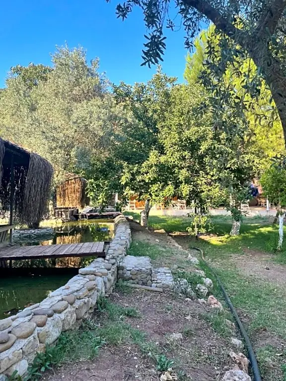 Olympos Paradi̇se Hotel — фото 1