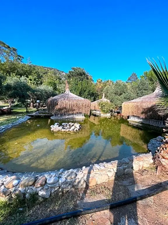 Кумлуджа: Olympos Paradi̇se Hotel