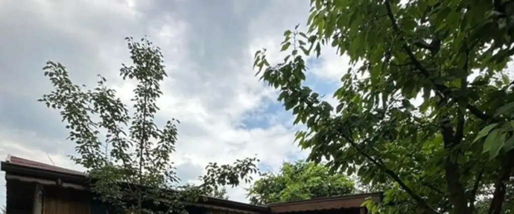Сакарья: Sapanca Lot5 Tiny House